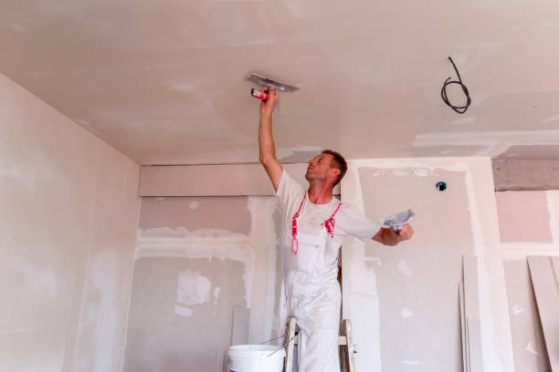 Best Drywall Texturing  in Middleborough Center, MA